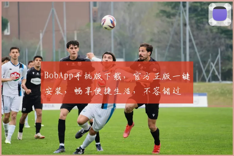 BobApp手机版下载，官方正版一键安装，畅享便捷生活，不容错过