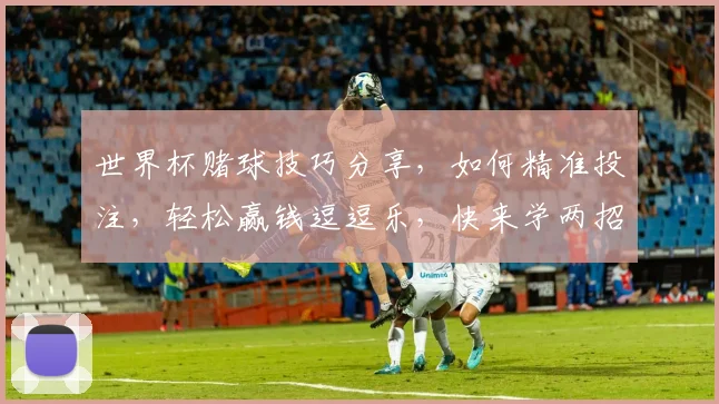 世界杯赌球技巧分享，如何精准投注，轻松赢钱逗逗乐，快来学两招