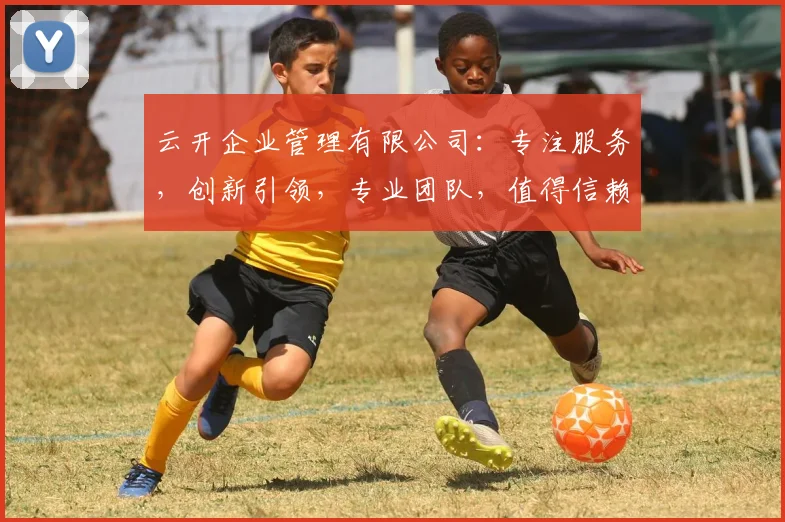 云开企业管理有限公司：专注服务，创新引领，专业团队，值得信赖，助力企业腾飞
