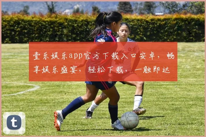 壹乐娱乐app官方下载入口安卓，畅享娱乐盛宴，轻松下载，一触即达，体验非凡