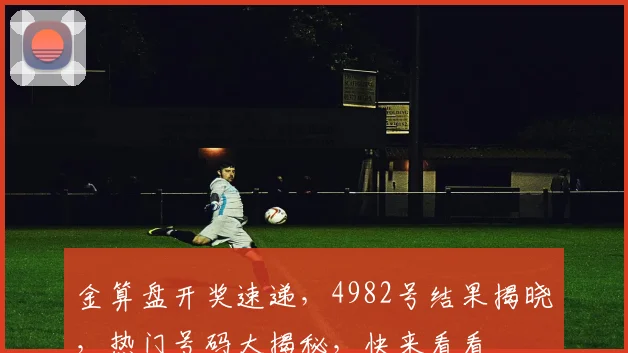 金算盘开奖速递，4982号结果揭晓，热门号码大揭秘，快来看看